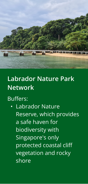 CYN Labrador Nature Park Network