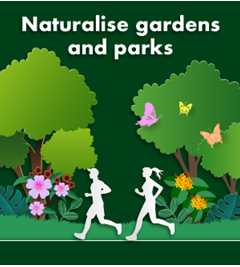 CYN Naturalise Gardens and Parks