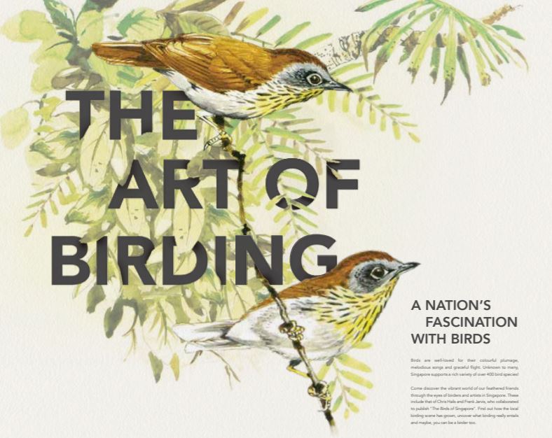 The Art of Birding Exhibition - - - What's On - Activities - National Parks Board (NParks)