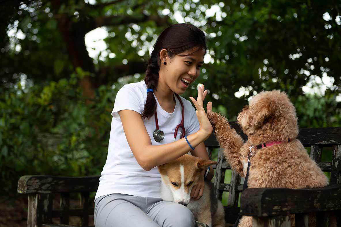 dogs hi five