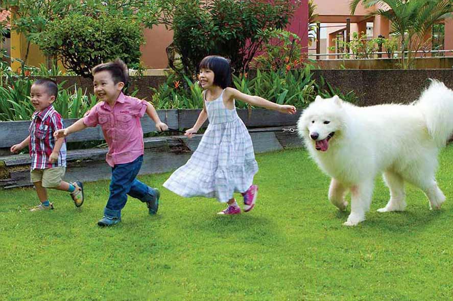 animal health