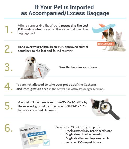 accompanied baggage