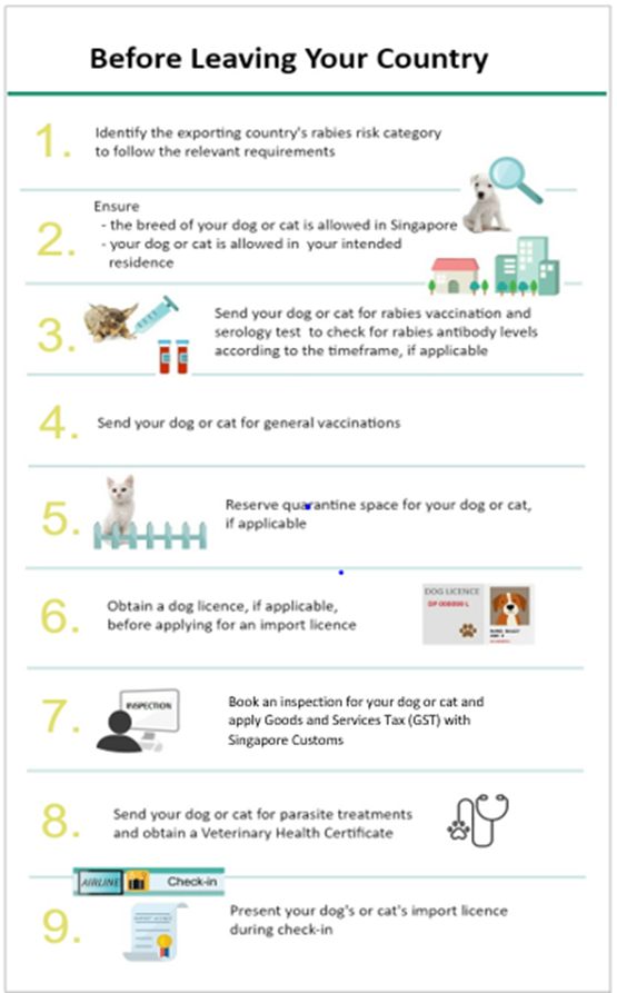 Steps to take before bringing dogs and cats into Singapore