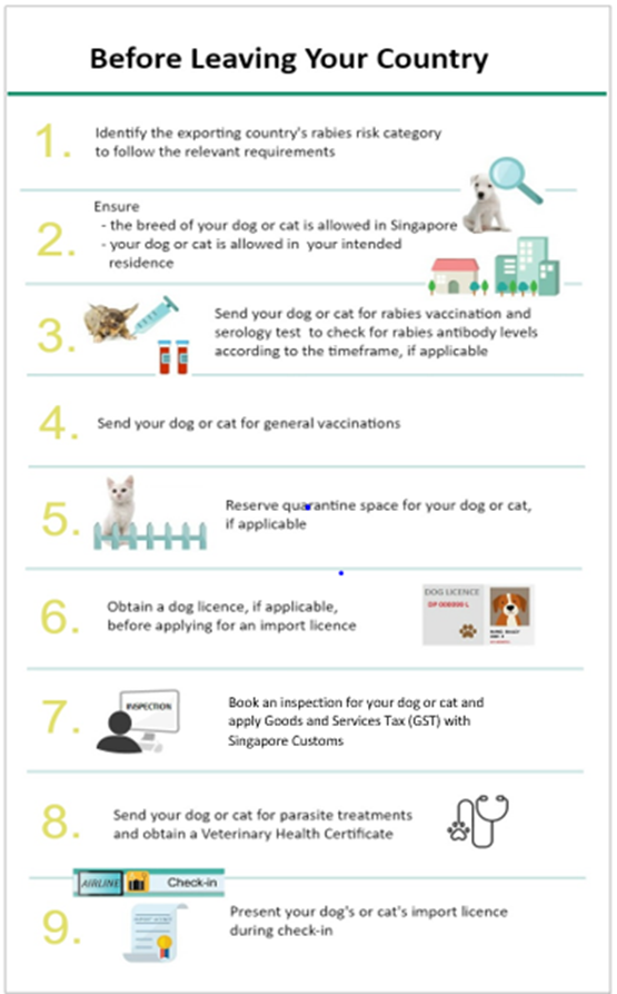 Dog Vaccination Schedule Chart Philippines