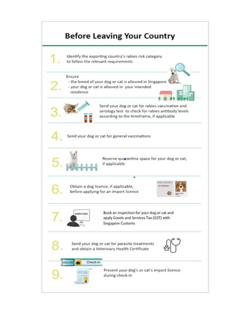 Cat 3 countries singapore
