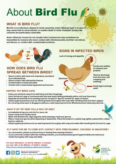 Bird flu virus