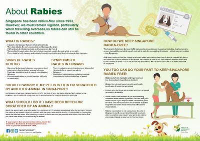 cat bite treatment vaccine