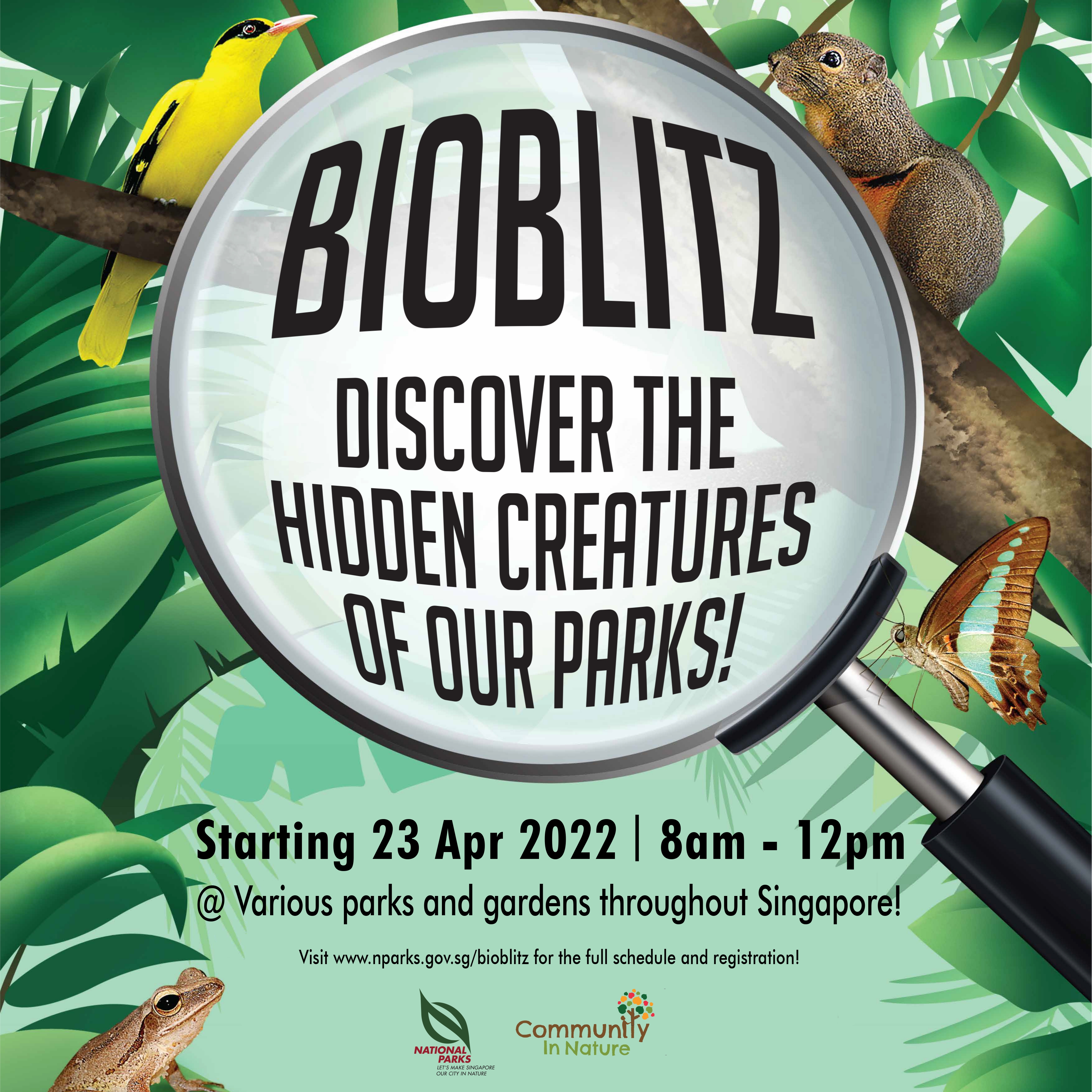 BioBlitz - Community in Nature Initiative - Biodiversity - National Parks  Board (NParks)