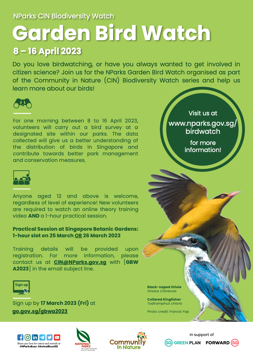 NParks Garden Bird Watch - Community in Nature Initiative - Biodiversity -  National Parks Board (NParks)