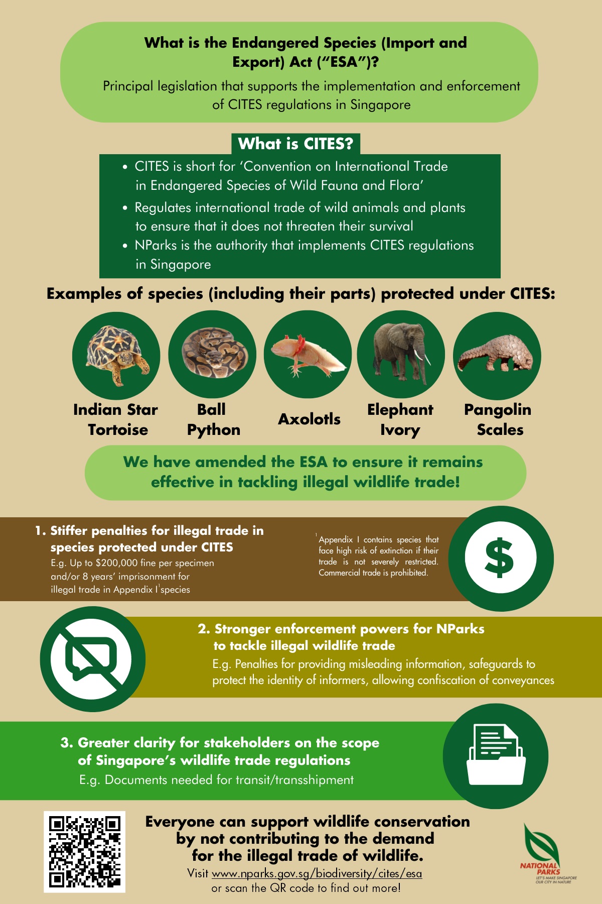 Rhinoceros - Fauna Identification and Analysis - Centre for Wildlife  Forensics - Biodiversity - National Parks Board (NParks)