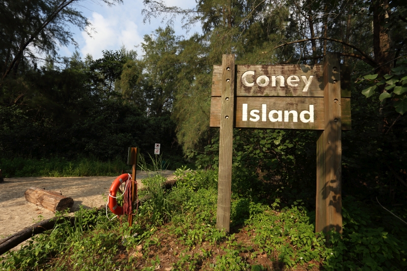 Coney Island Park - Parks & Nature Reserves - Gardens, Parks ...