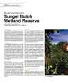 Revisit and Discover: Sungei Buloh Wetland Reserve