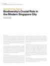 Biodiversity’s Crucial Role in the Modern Singapore City