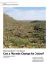 Watering Grass in the Desert: Can a Phoenix Change Its Colour?