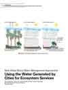 New Urban Storm Water Management Approaches: Using the Water Generated by Cities for Ecosystem Services