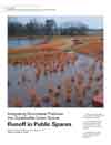Integrating Stormwater Practices into Sustainable Green Spaces: Runoff in Public Spaces