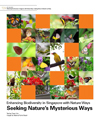 Enhancing Biodiversity in Singapore with Natural Ways