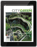 Stepping Up with Green