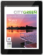 Water and the City