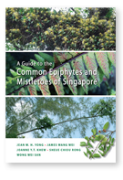 A Guide to the Common Epiphytes and Mistletoes of Singapore