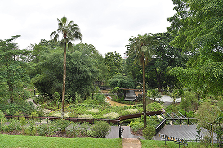 Exploring the Ethnobotany Garden