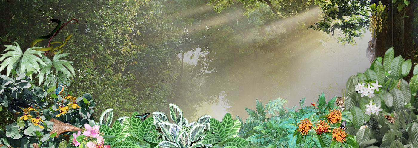 FFW_Banner