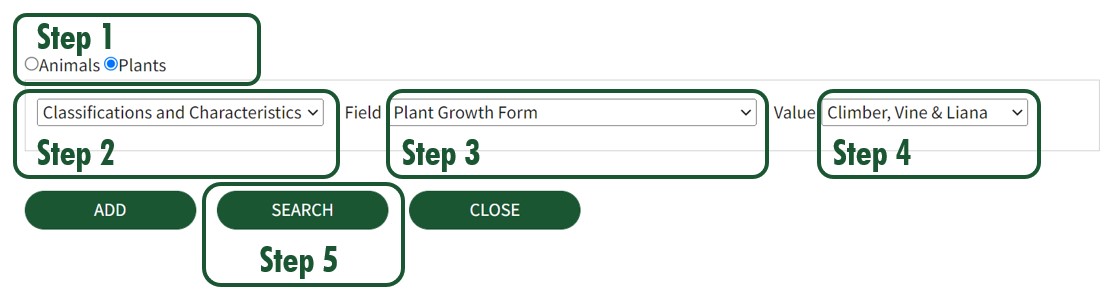 How to use Advanced Search