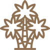 Clustering Habit