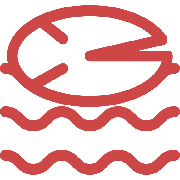 Floating Freshwater