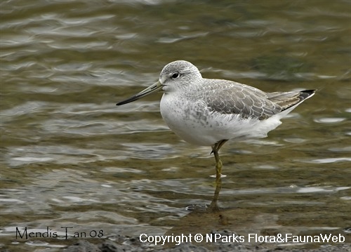 Copyright belong to photographer.