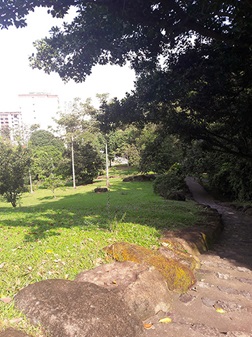 Greenery - Woodlands