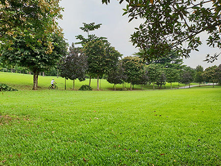 Woodlands Waterfront Park