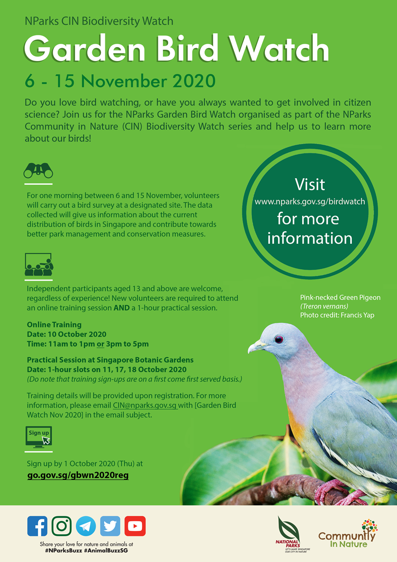 NParks Garden Bird Watch - Community in Nature Initiative - Biodiversity -  National Parks Board (NParks)