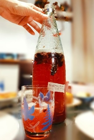 GDO19Feb2022_Kombucha