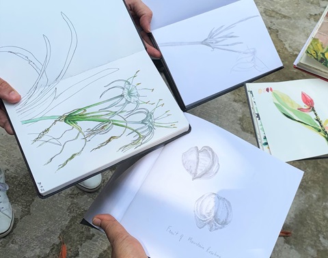 Mar2022GDO_BotanicalArtSketch