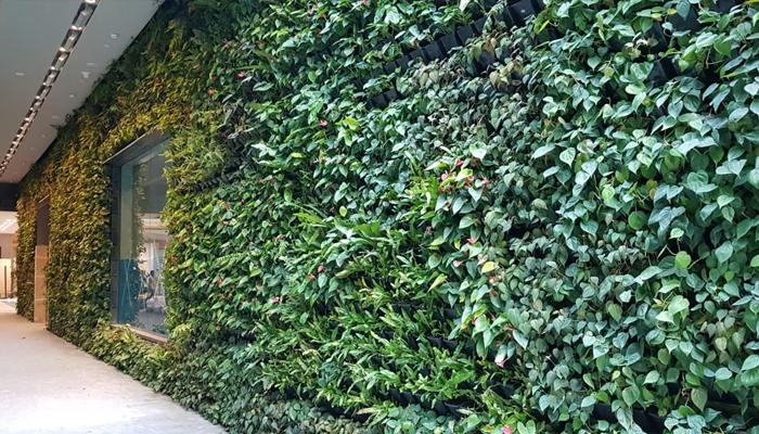 GWS Jewel Green Wall