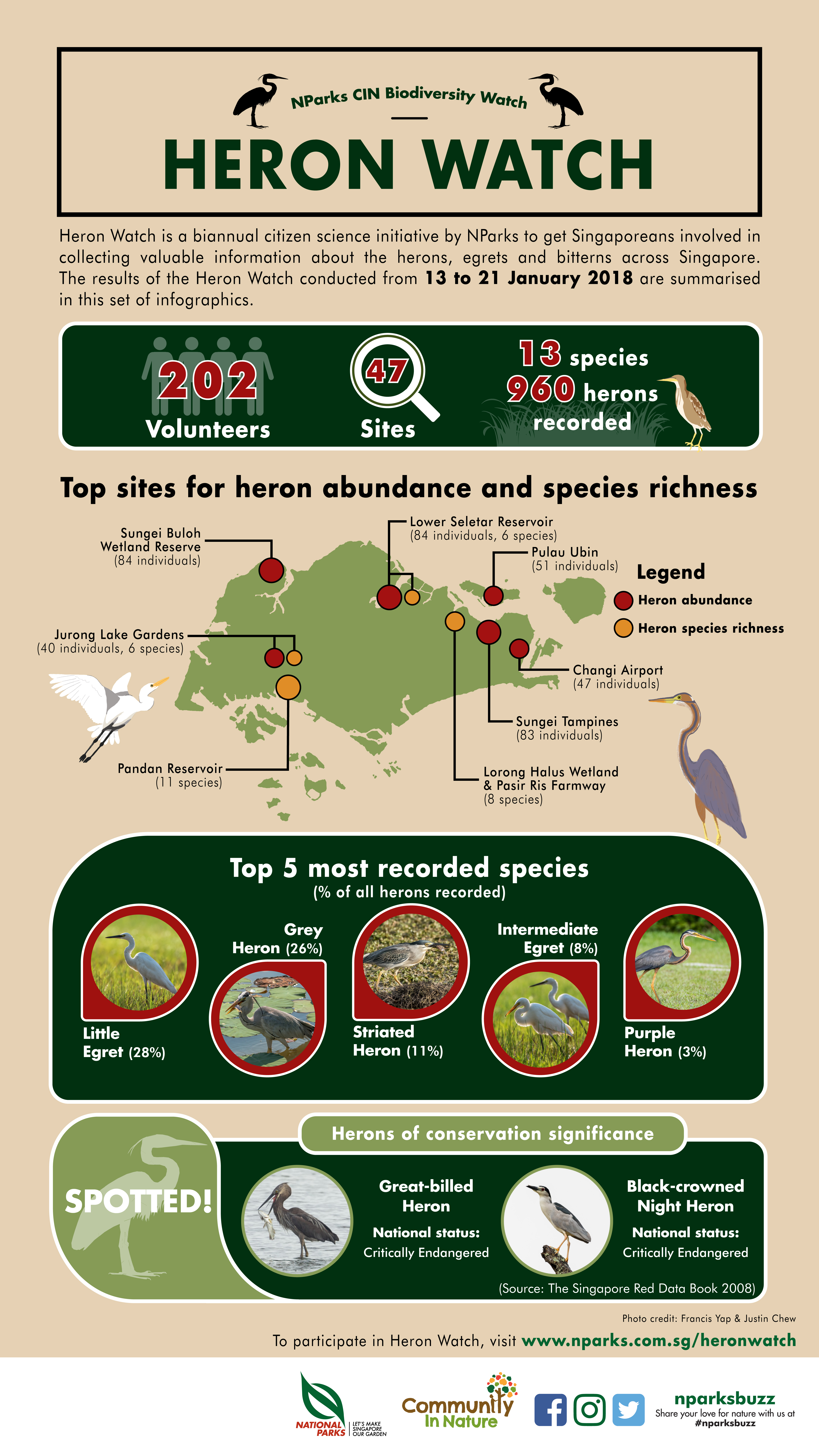 Rhinoceros - Fauna Identification and Analysis - Centre for Wildlife  Forensics - Biodiversity - National Parks Board (NParks)