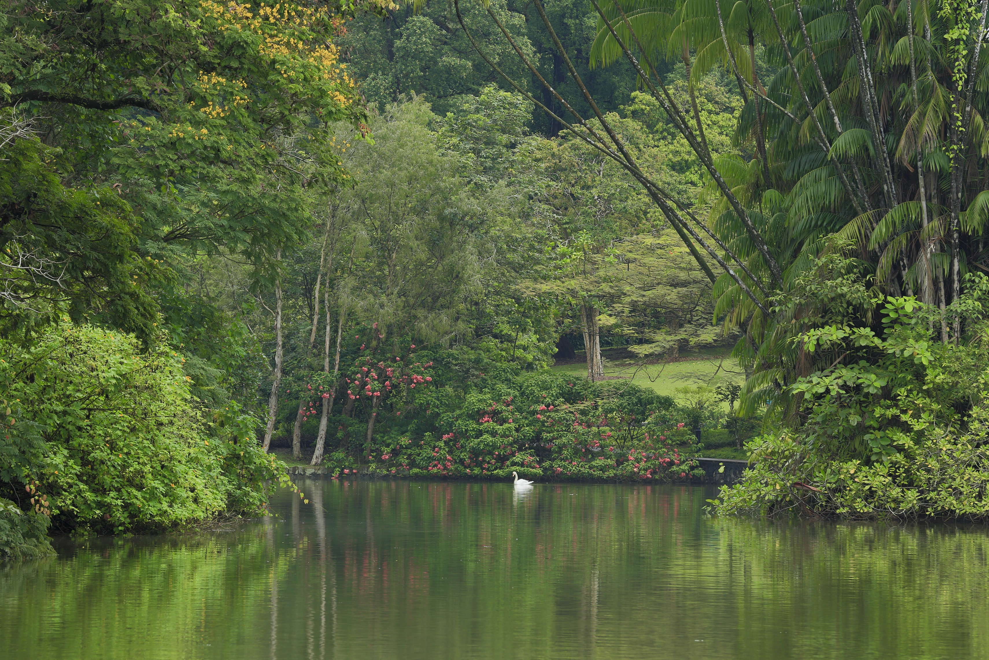 Singapore Botanic Gardens’ Heritage Secrets