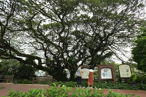 Singapore History Amidst Lush Greenery