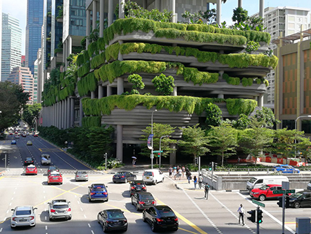 Greenery That Defies Gravity