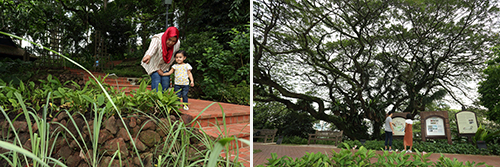 Singapore History Amidst Lush Greenery