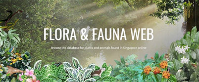 Exploring Upgraded Flora & Fauna Web