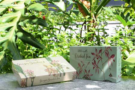 Garden Shop Highlights 4