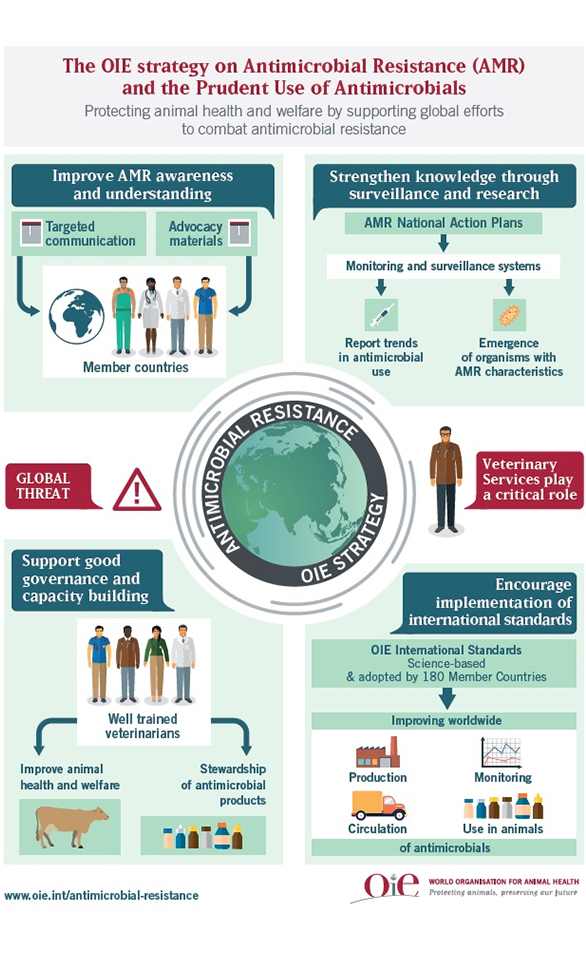 Combating AMR 2