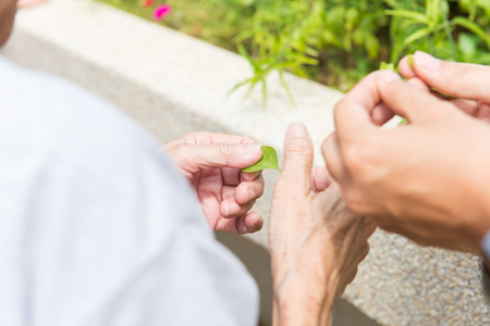 Benefits of Gardening 2