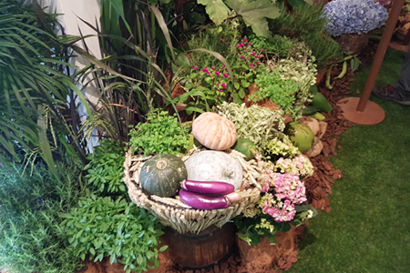 Benefits of Gardening 3