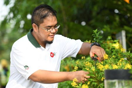 Benefits of Gardening 4