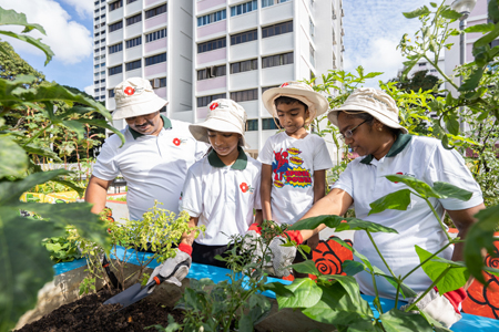 Benefits of Gardening 7