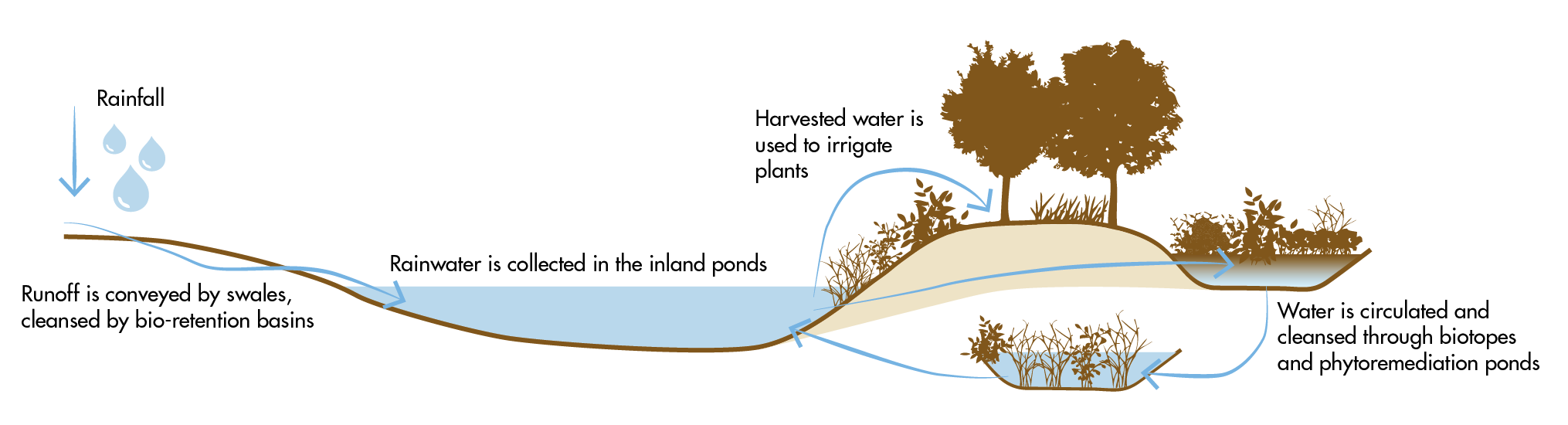 water systems diagram