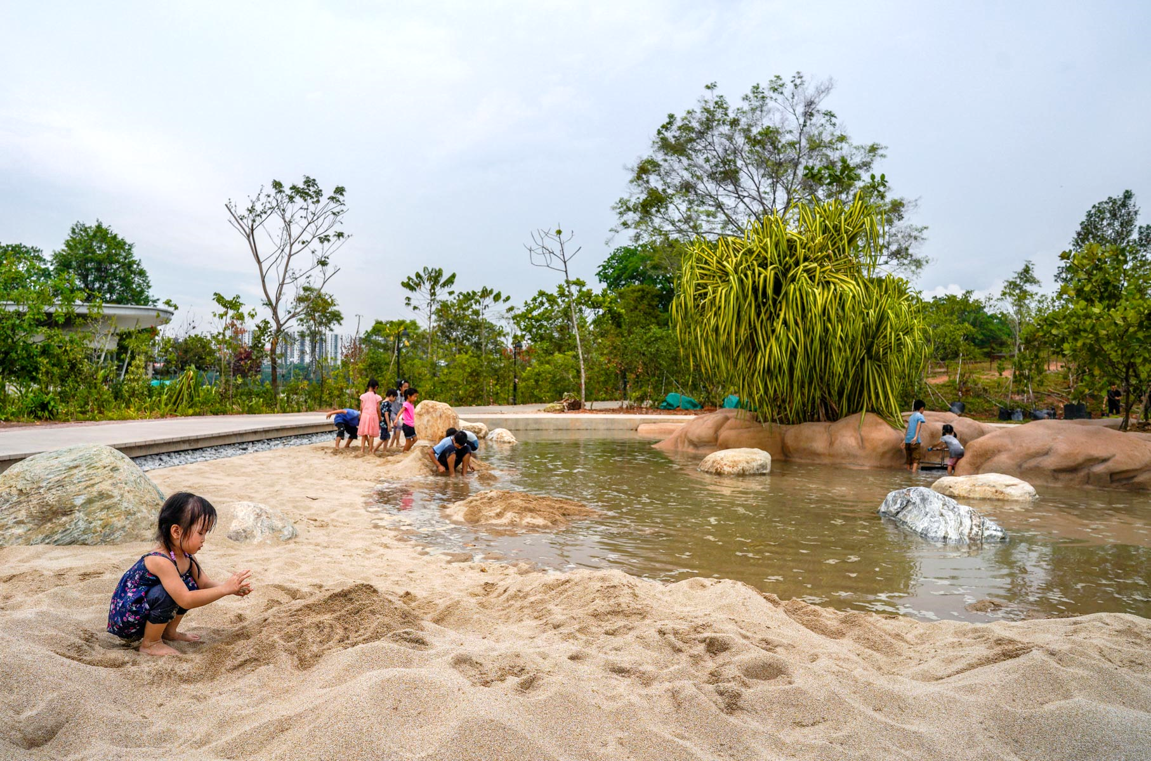 Clusia Cove landscape